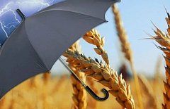 Саратовская область – лидер России по развитию агрострахования