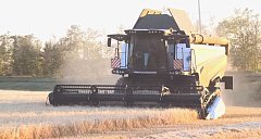 Глава Ершовского района Константин Мызников поздравил аграриев с первыми 100 тыс. тонн нового урожая