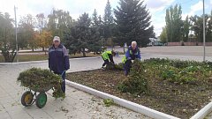 Работы по благоустройству Ершова ведутся в ежедневном режиме