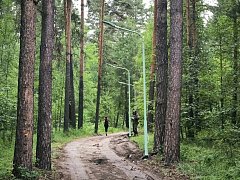 В области благоустроили лесопарк, посаженный гимназистами накануне революции