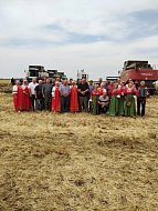 Ершовские культработники устраивают концерты для хлеборобов прямо в полях