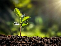 К весенней посевной аграрии региона приобрели 73% от необходимого объема минеральных удобрений