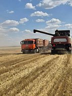 Уборочная страда: ершовские хлеборобы приближаются к финишу