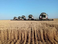 Уборочная кампания-2025: хозяйства Ершовского района демонстрируют уверенные темпы сбора урожая
