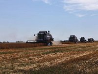 Ершовские аграрии приступили к уборочной кампании 2025