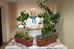 Жительница Ершова подарила воскресной школе домашние цветы