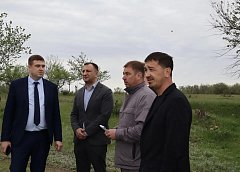 В пос.Тулайково Ершовского района появится современная зона отдыха у воды
