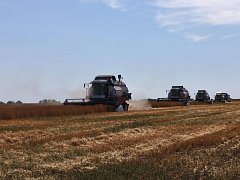 Ершовские аграрии приступили к уборочной кампании 2025
