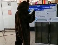 В Ершове на избирательный участок пришел медведь