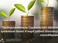 Предприниматели Саратовской области привлекли более 4 млрд рублей благодаря господдержке