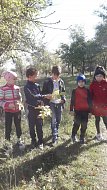 В п. Кушумский организовали увлекательный квест для детей