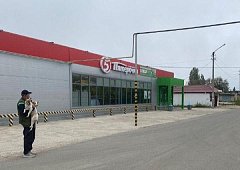 Еще 7 ершовских собак-«беспризорников» направлены в приют