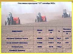 В Саратовской области полевые работы близятся к завершению