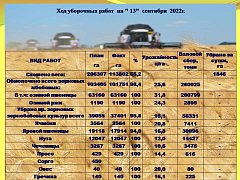 В Ершовском районе собрано более 260 тысяч тонн зерна нового урожая
