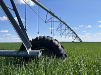 ООО «МТС «Ершовская»: поливной сезон стартовал