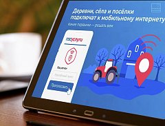 Жители области могут проголосовать за подключение сёл к Интернету