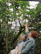 Туристов из Ершова погрузили... «в атмосферу баунти»